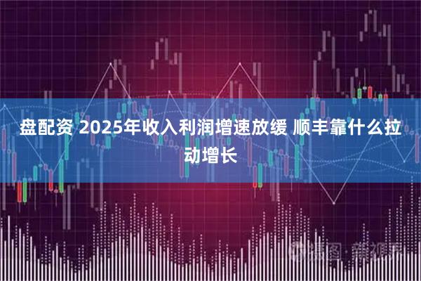 盘配资 2025年收入利润增速放缓 顺丰靠什么拉动增长