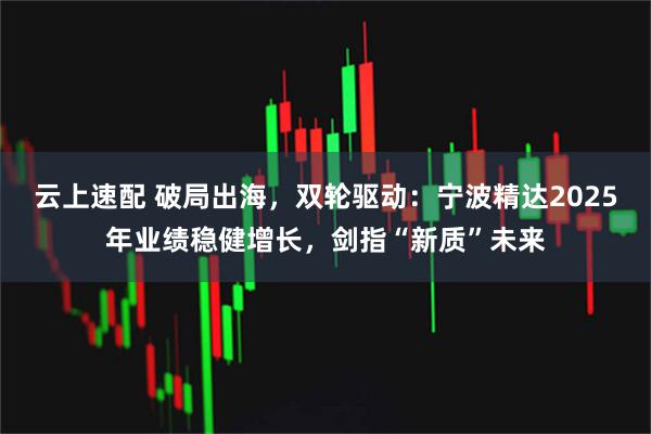云上速配 破局出海，双轮驱动：宁波精达2025年业绩稳健增长，剑指“新质”未来